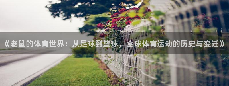 谈球吧体育：《老鼠的体育世界：从足球到篮球，全球体育运动的历史与变迁》