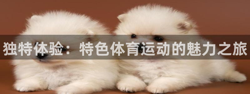 谈球吧体育官网：独特体验：特色体育运动的魅力之旅