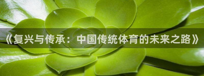 谈球吧体育：《复兴与传承：中国传统体育的未来之路》