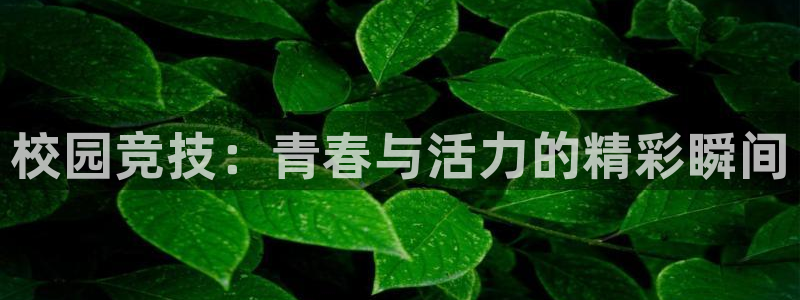 谈球吧：校园竞技：青春与活力的精彩瞬间
