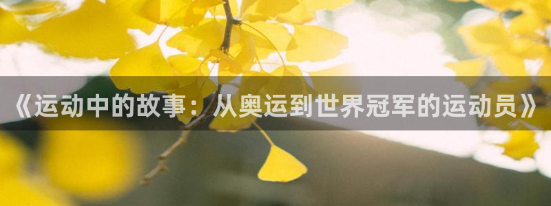 谈球吧体育：《运动中的故事：从奥运到世界冠军的运动员》
