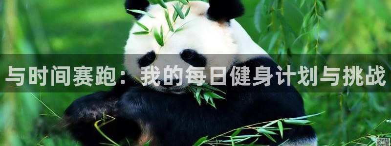 谈球吧体育：与时间赛跑：我的每日健身计划与挑战