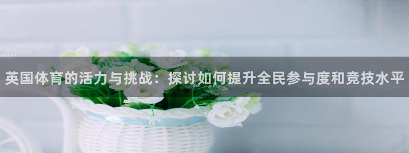 谈球吧体育官网：英国体育的活力与挑战：探讨如何提升全民参与度和竞技水平