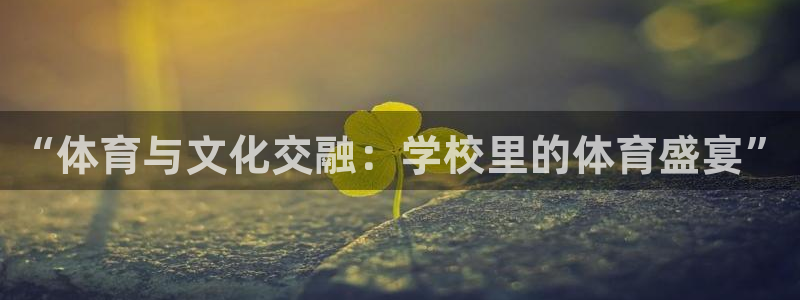 谈球吧体育官网：“体育与文化交融：学校里的体育盛宴”