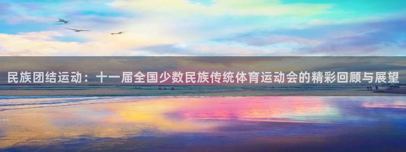 谈球吧体育：民族团结运动：十一届全国少数民族传统体育运动会的精彩回顾与展望